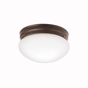 Flush Mount 2Lt