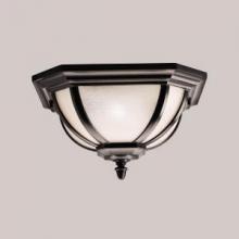 Kichler 9848BK - Outdoor Ceiling 2Lt