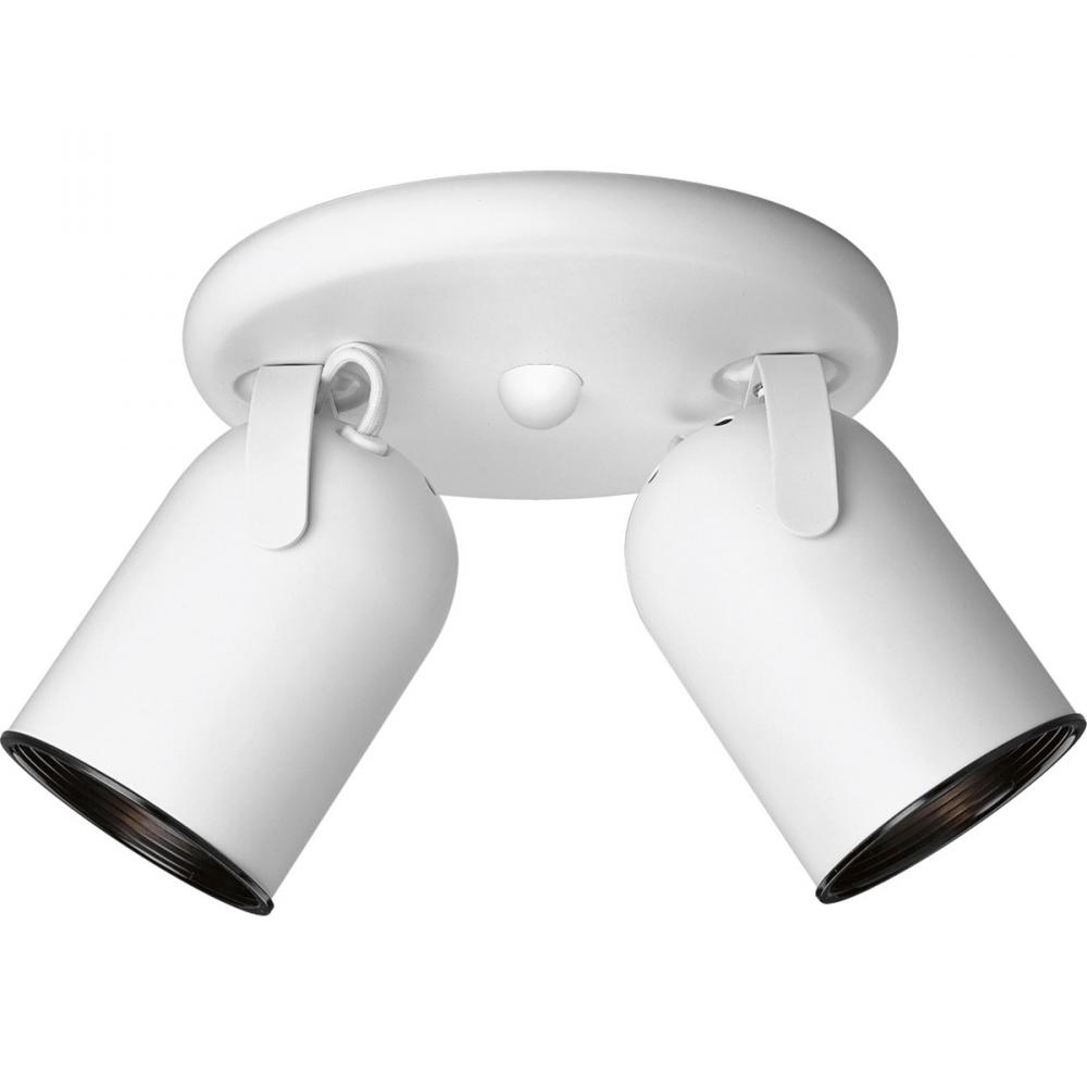 Two-Light Multi Directional Roundback Wall/Ceiling Fixture