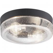 Progress P550042-031 - Weldon Collection Two-Light Flush Mount