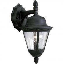 Progress P5862-31 - Westport Collection One-Light Small Wall Lantern