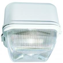 Dabmar DW8862-W - MED CEILING FIX 100W HPS MOG 120V