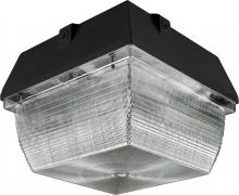 Dabmar DW8900 - MED CEILING FIX 100W HPS 120V