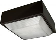 Dabmar DW9260-BZ - LARGE CEILING FIXTURE 400 WATT HPS 120 VOLT