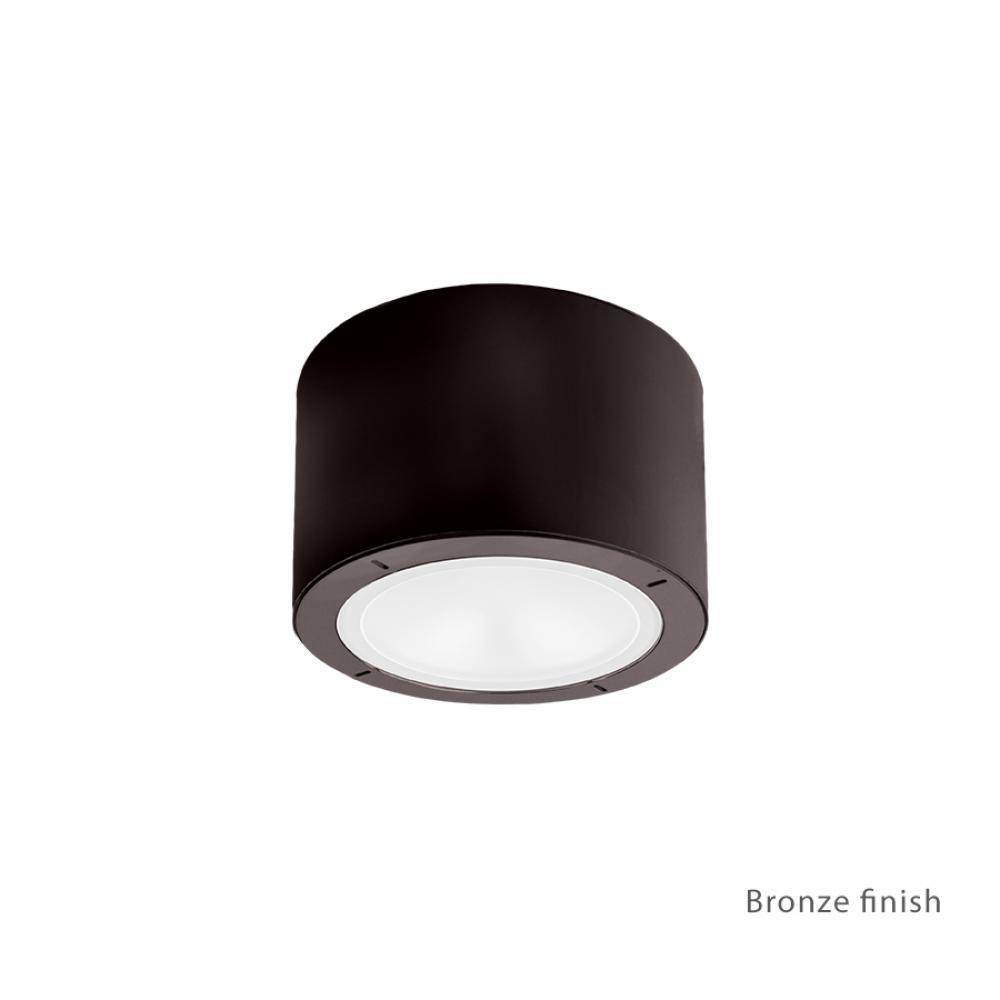 Vessel Outdoor Flush Mount Light