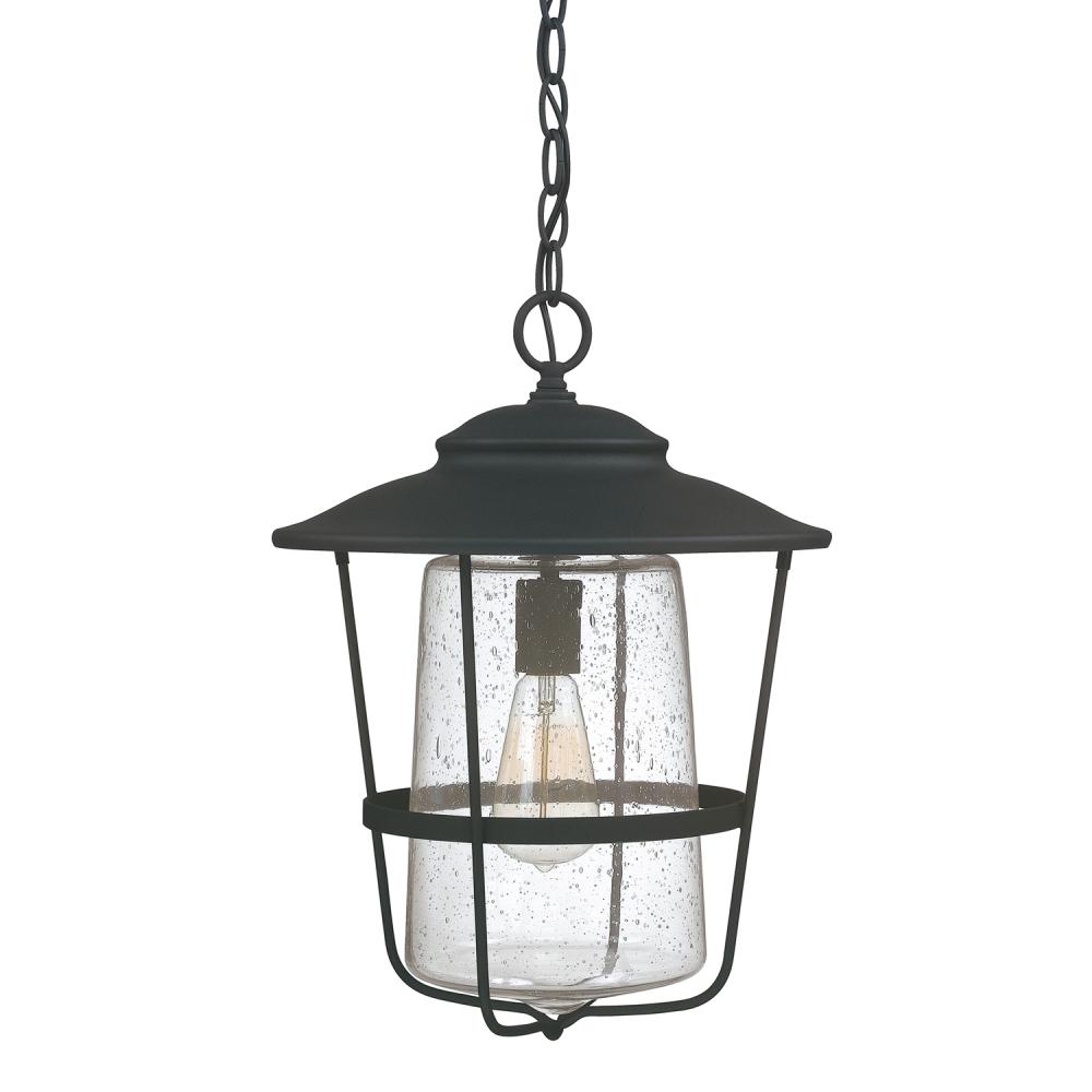 1 Light Outdoor Hanging Lantern