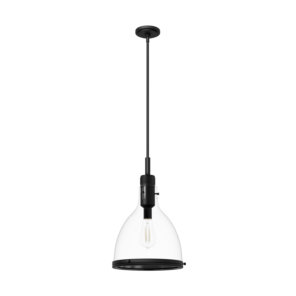 Hunter Van Nuys Matte Black with Clear Glass 1 Light Pendant Ceiling Light Fixture