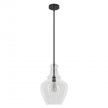 Hunter 19566 - Hunter Maple Park Noble Bronze with Clear Glass 1 Light Pendant Ceiling Light Fixture