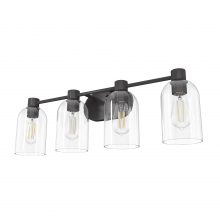 Hunter 19713 - Hunter Lochemeade Noble Bronze with Seeded Glass 4 Light Bathroom Vanity Wall Light Fixture