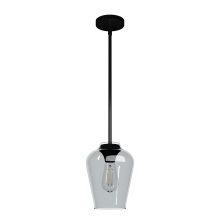 Hunter 19724 - Hunter Vidria Matte Black with Smoked Glass 1 Light Pendant Ceiling Light Fixture