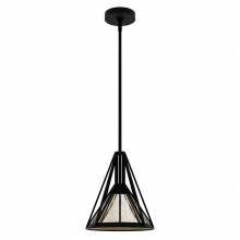 Hunter 19449 - Hunter Rafner Natural Black Iron with Mercury Glass Glass 1 Light Pendant Ceiling Light Fixture