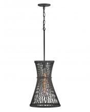 Hinkley 41267BK - Medium Pendant